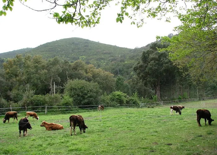 乌索尔缇皮亚尼旅馆